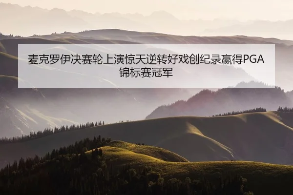 mai-ke-luo-yi-jue-sai-lun-shang-yan-jing-tian-ni-zhuan-hao-xi-chuang-ji-lu-ying-de-jin-biao-sai-guan-jun-2-335.jpg