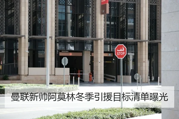 曼联新帅阿莫林冬季引援目标清单曝光