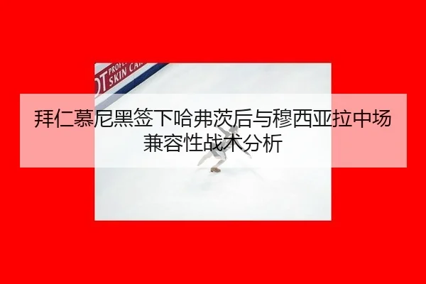bai-ren-mu-ni-hei-qian-xia-ha-fu-ci-hou-yu-mu-xi-ya-la-zhong-chang-jian-rong-xing-zhan-shu-fen-xi-2-361.jpg